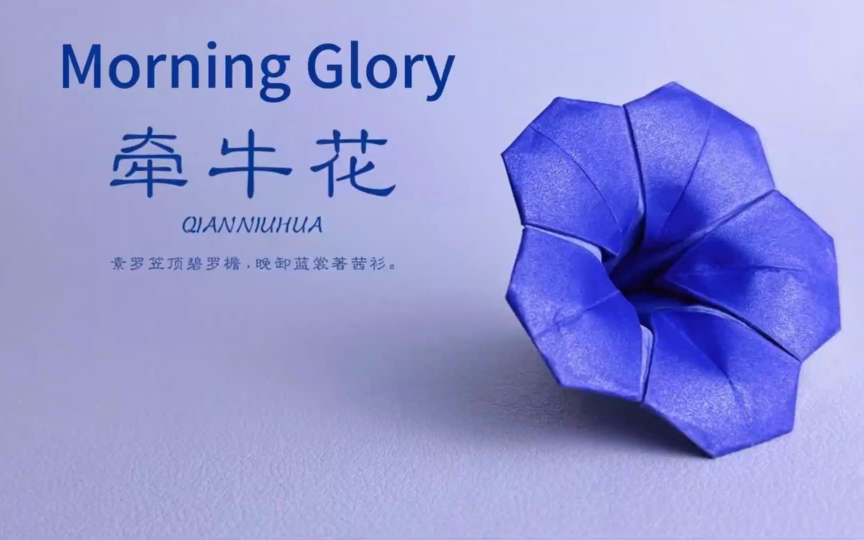 [图]转载-Origami Display Flower - Morning Glory-折纸展示花-牵牛花