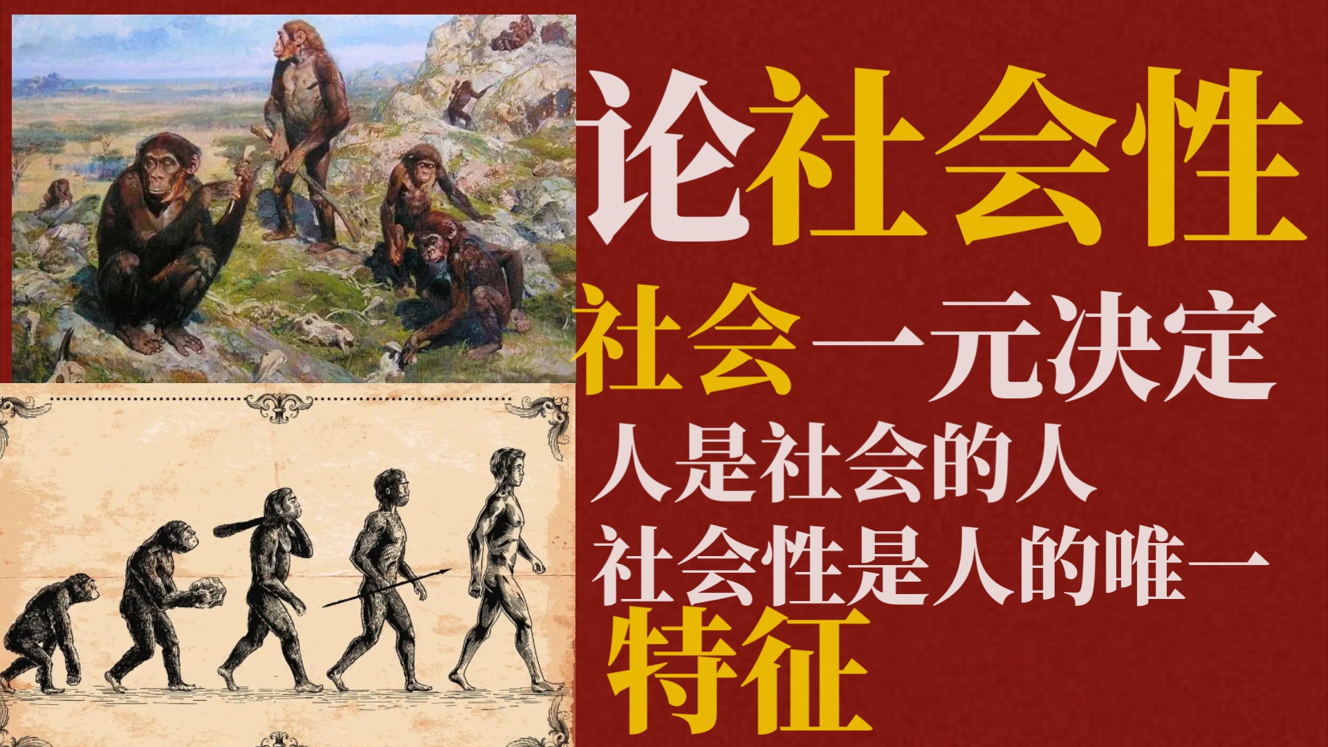 论社会性,社会性是人的唯一特性!不要再搞自然性和社会性的二元论了!哔哩哔哩bilibili