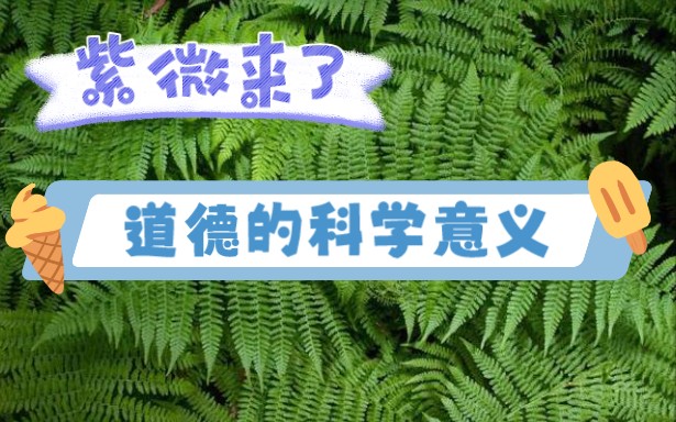 【民哲】唯物命理学之我就说传说中的某紫(道德的科学意义)哔哩哔哩bilibili