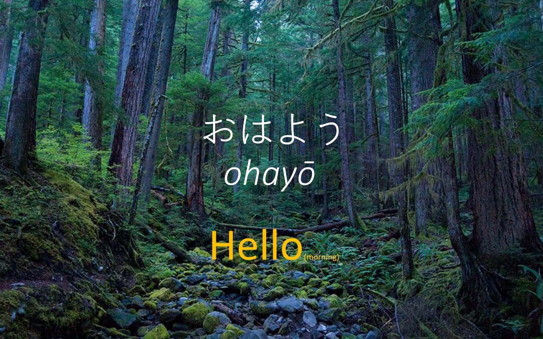 日语睡着学日语125个基础日常词汇转自youtubeekolanguages频道