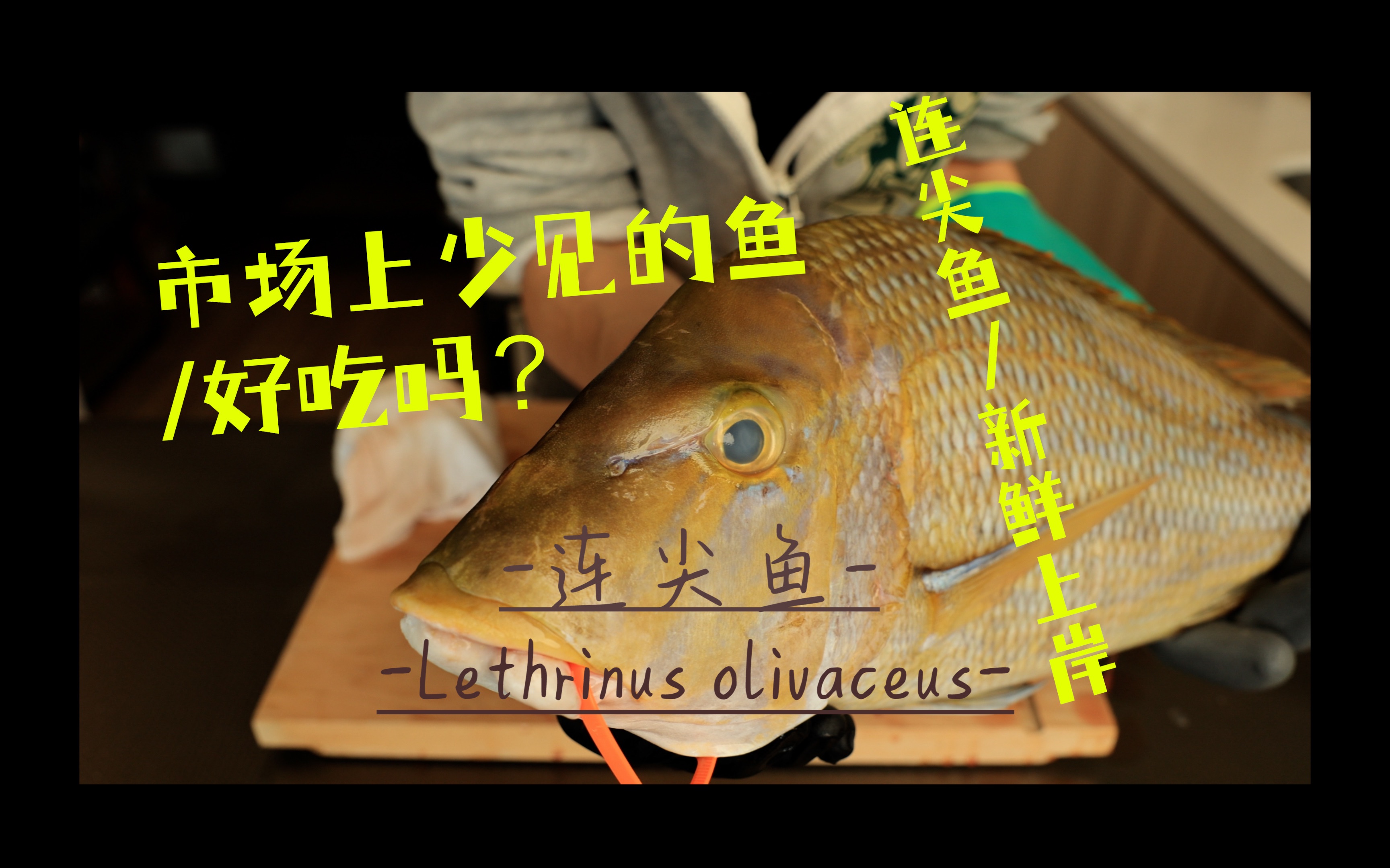 海鲜市场少见的珊瑚鱼连尖鱼