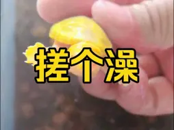 Descargar video: 【魅蓝MBH】更新啦，赶紧来围观吧！