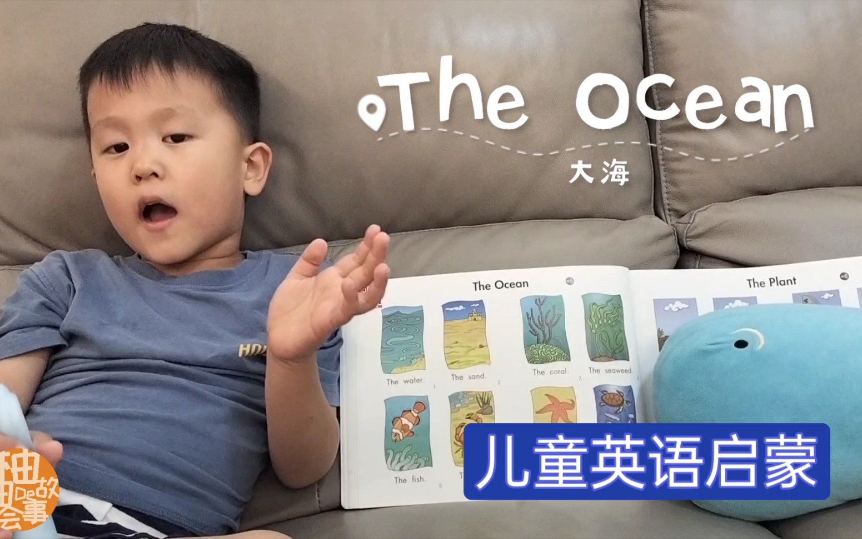 儿童英语启蒙之大海The Ocean𐟌Š哔哩哔哩bilibili