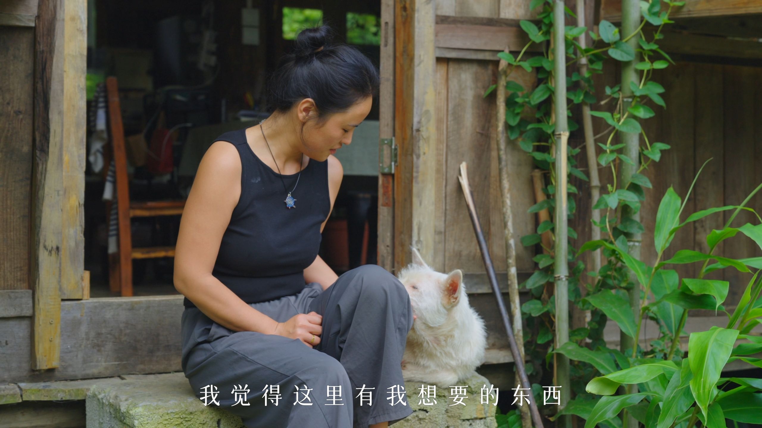放弃工作，逃到贵州的深山，董岛是怎样的一座岛？
