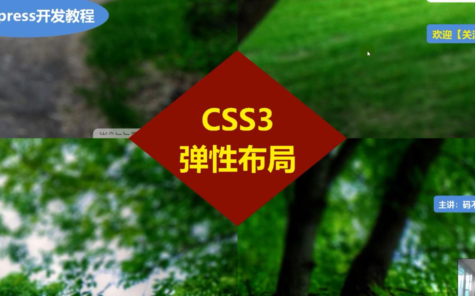 web前端开发中,如何使用CSS3弹性布局,来制作响应式布局页面?哔哩哔哩bilibili