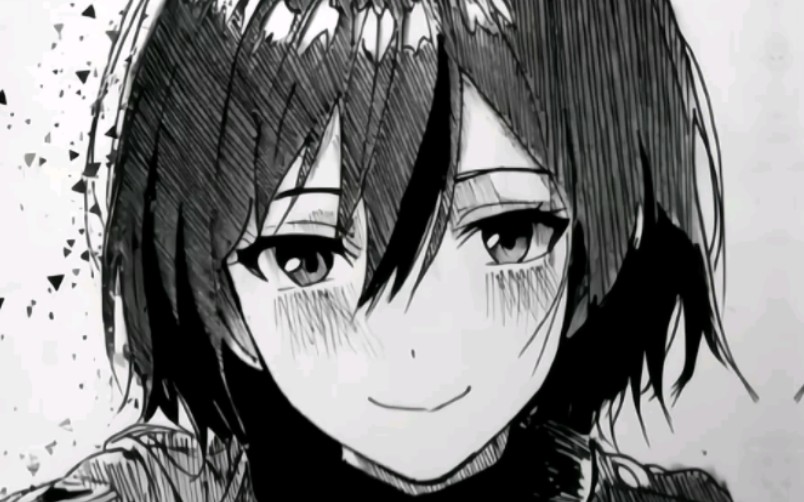 动漫里三笠的五官都没这么正