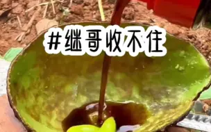 Tải video: 《继哥收不住》#新故事来了