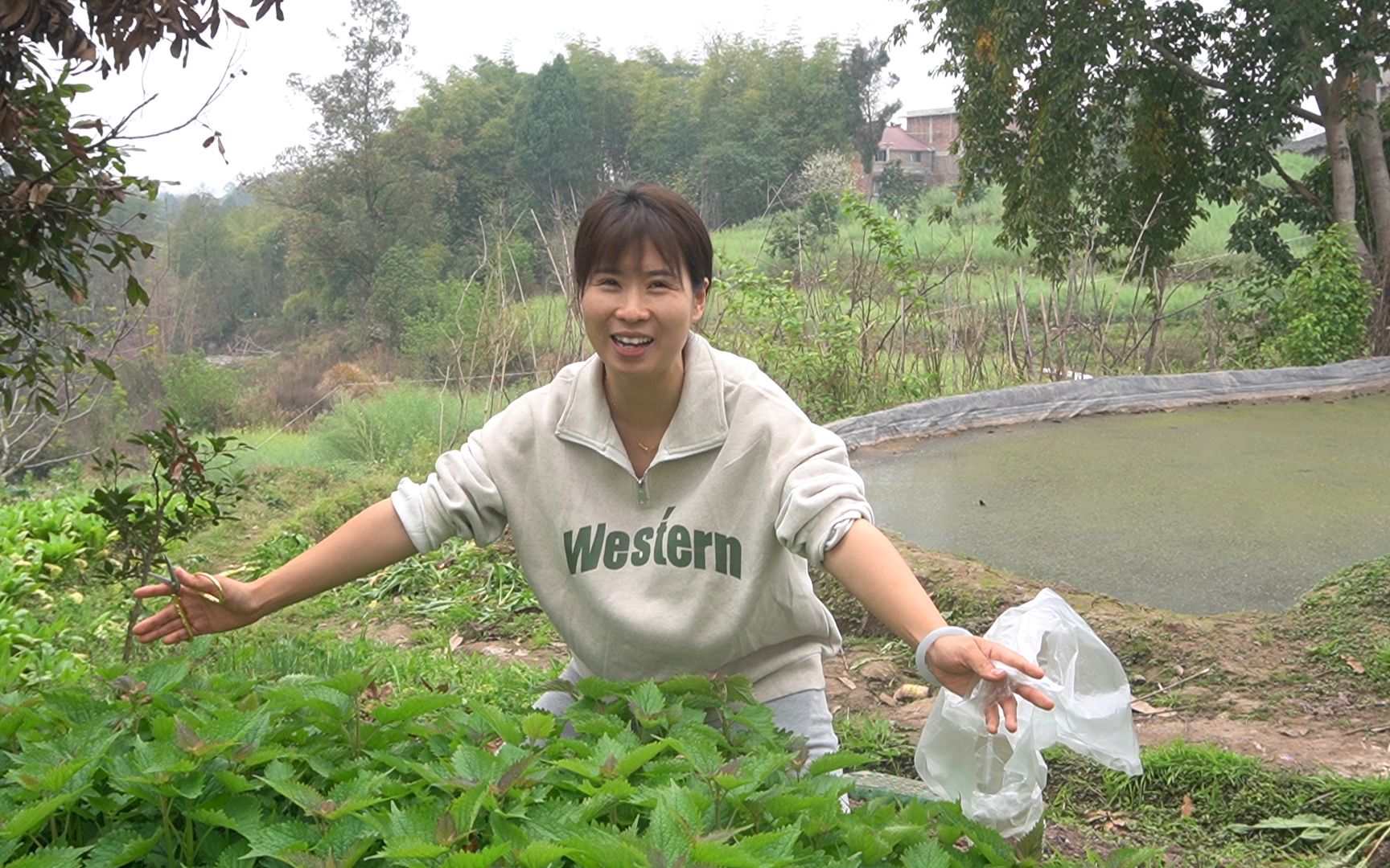 菜地里大藿香长的又嫩又好,现摘现卖收入30元,翠花用这个30根草莓秧种下去今年实现吃草莓自由哔哩哔哩bilibili