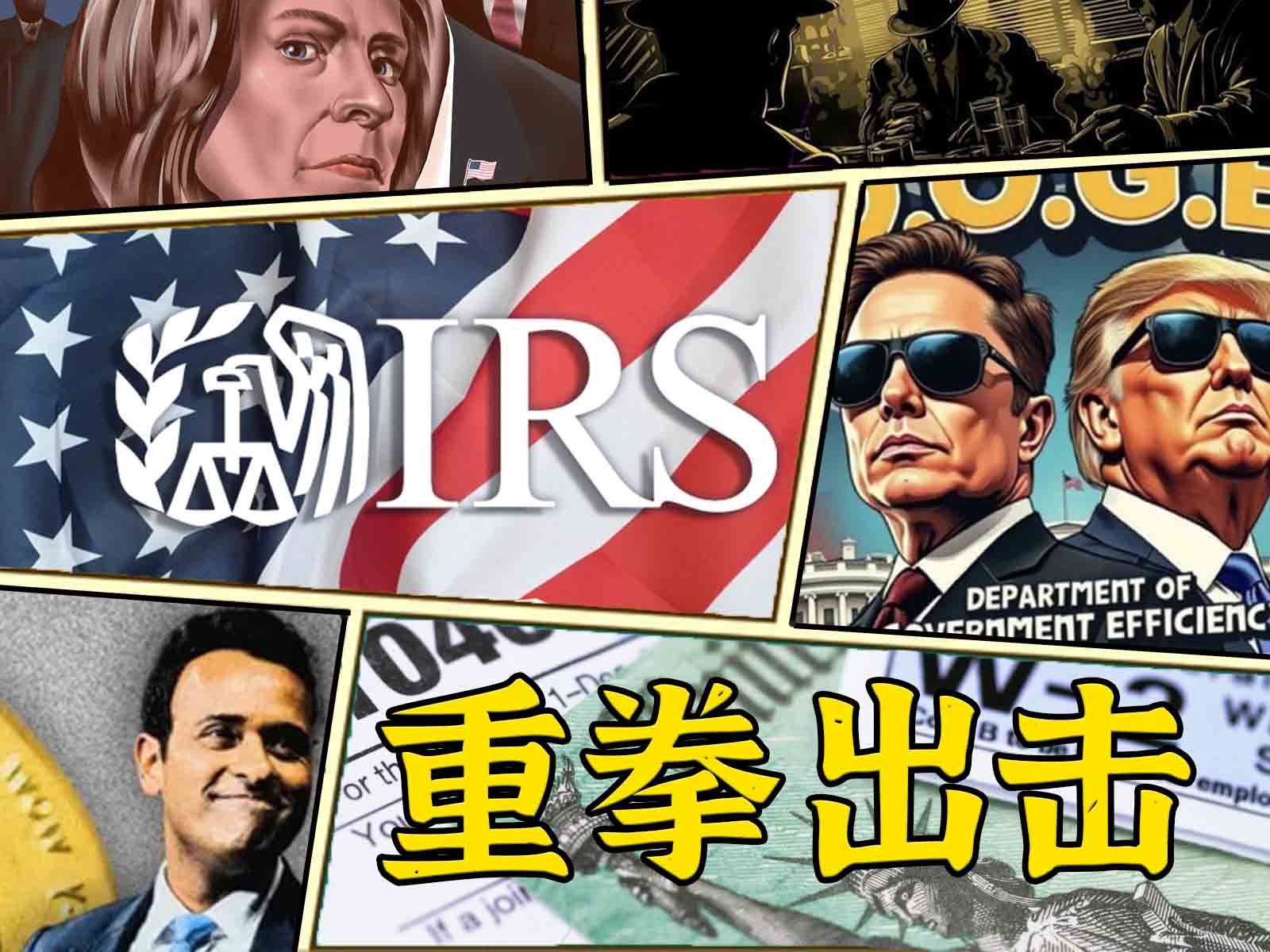 这就是效率部:IRS国税局包庇五千雇员偷税?查!哔哩哔哩bilibili