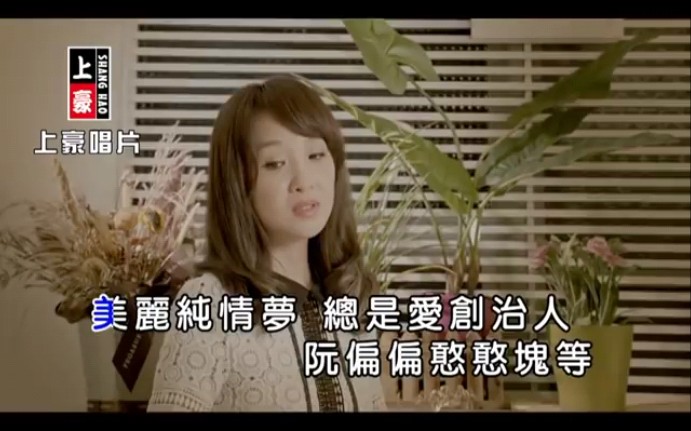 [图]【单独上传 非合集】《磅见的人》-林良欢（选自2016年专辑《露水情缘》）KTV导唱字幕