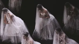 “爱--能毁灭生命，也能拯救生命。”