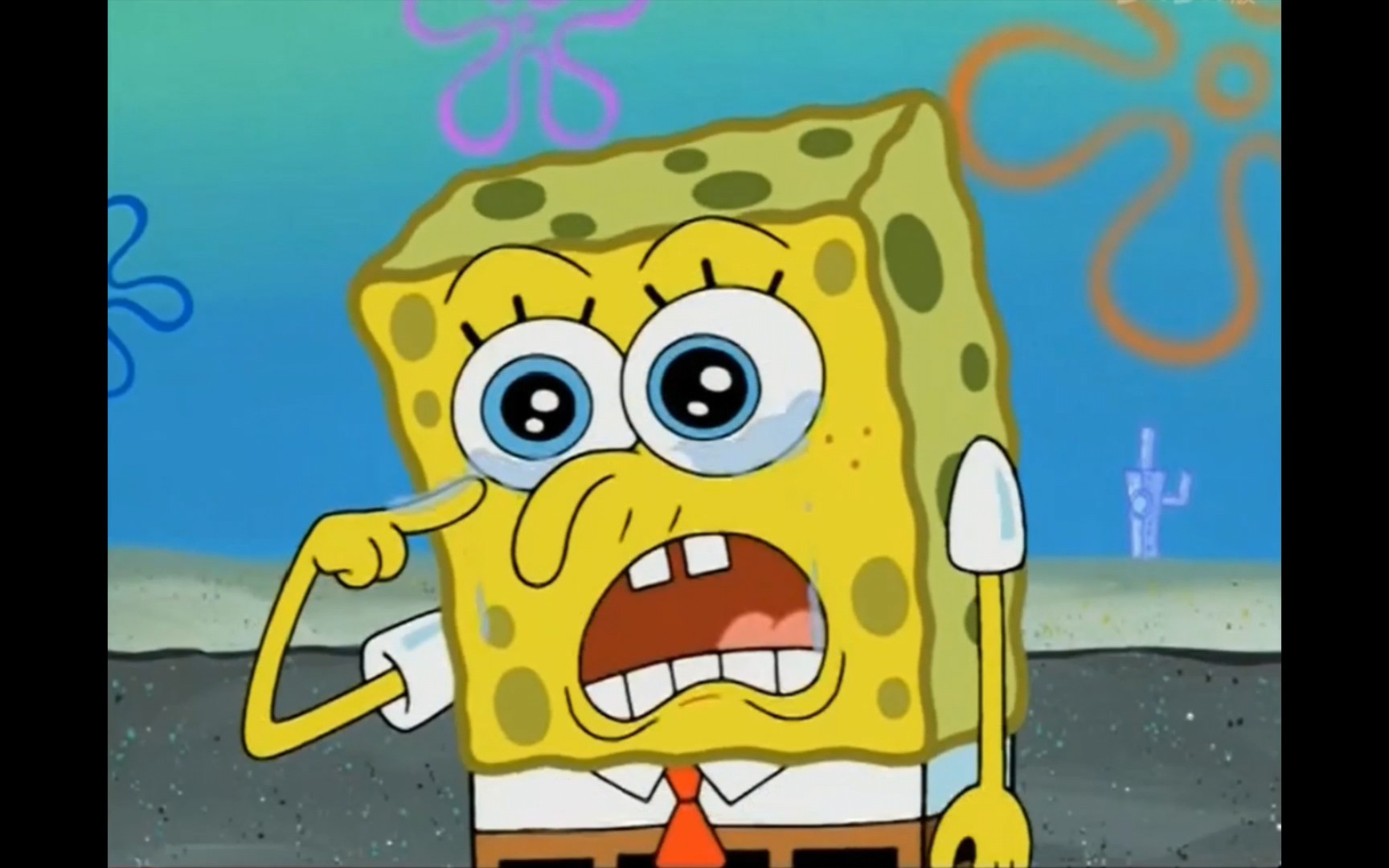 也许将来我们会再次相逢 请你勿忘我海绵宝宝先生