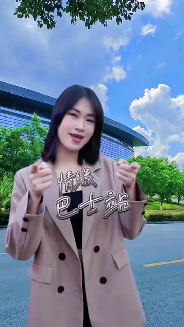 小金94(广东河阳)