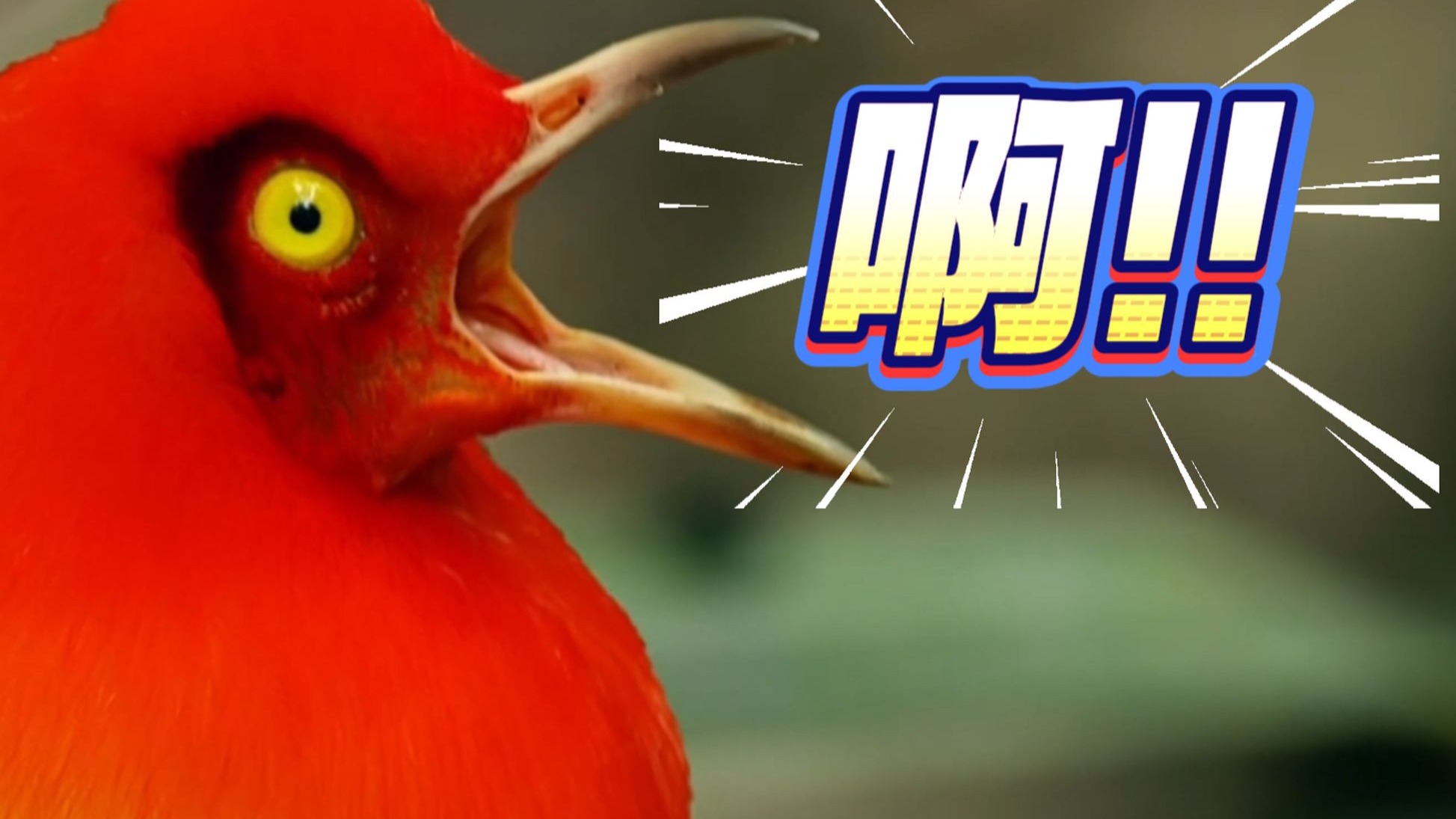 《恋爱不积极 功能有问题》