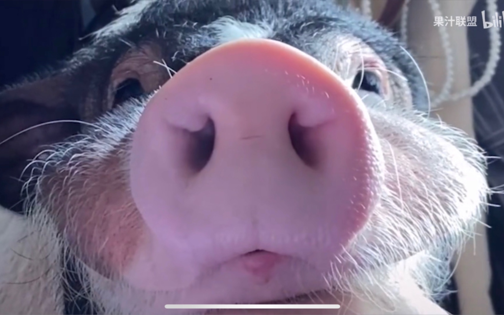 菜鸟的搞笑完美时刻