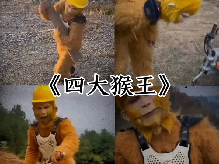 四大猴王哔哩哔哩bilibili