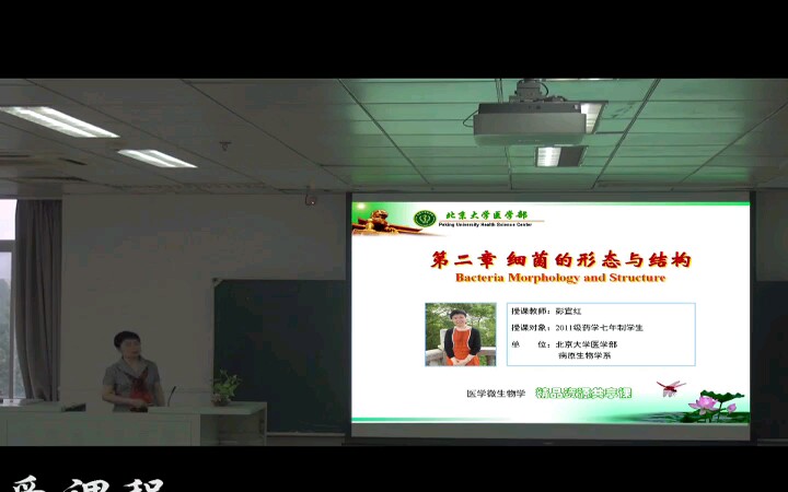 医学微生物学 北京大学 细菌的形态与结构哔哩哔哩bilibili