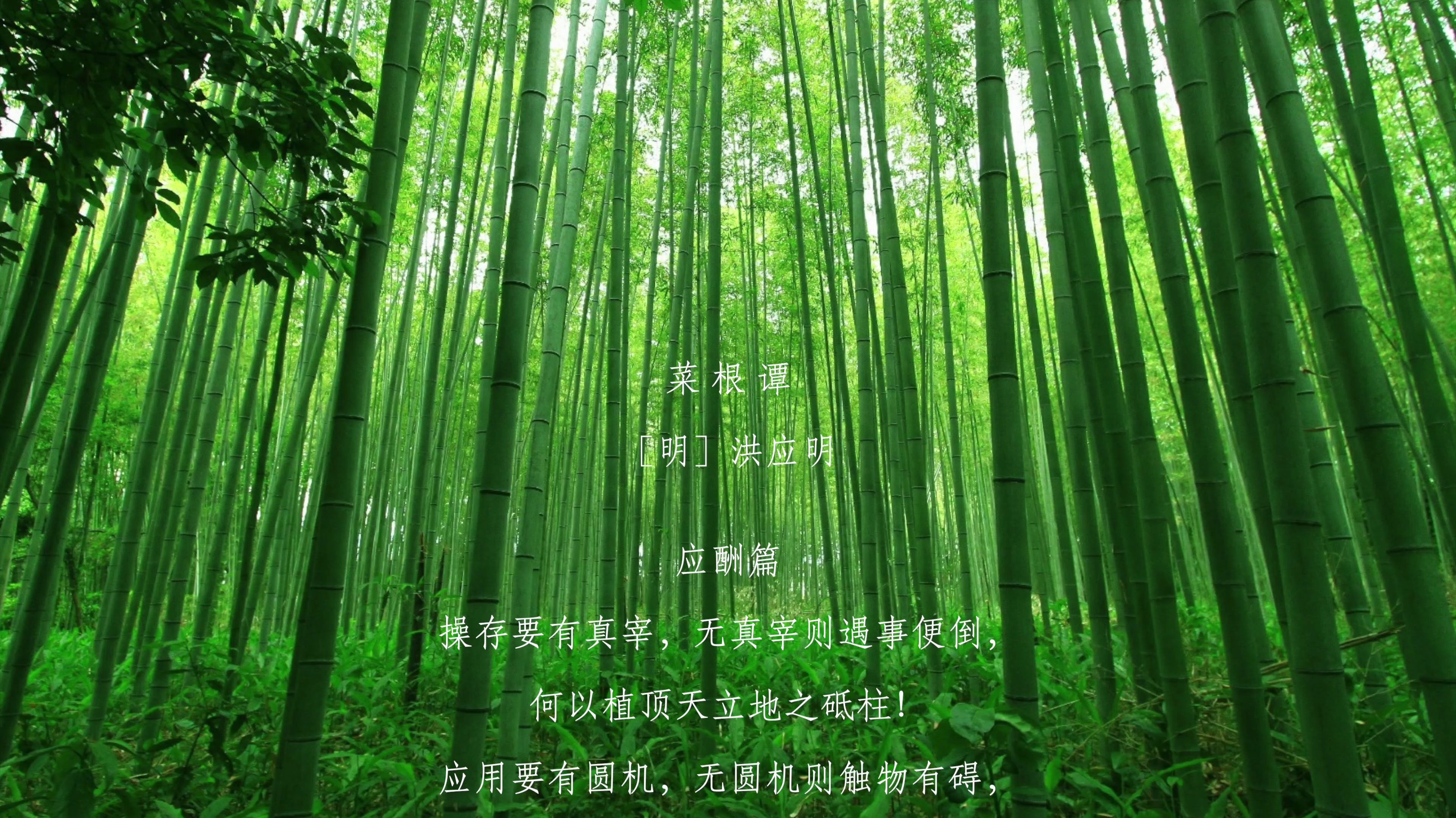 古文欣赏明洪应明菜根谭应酬篇