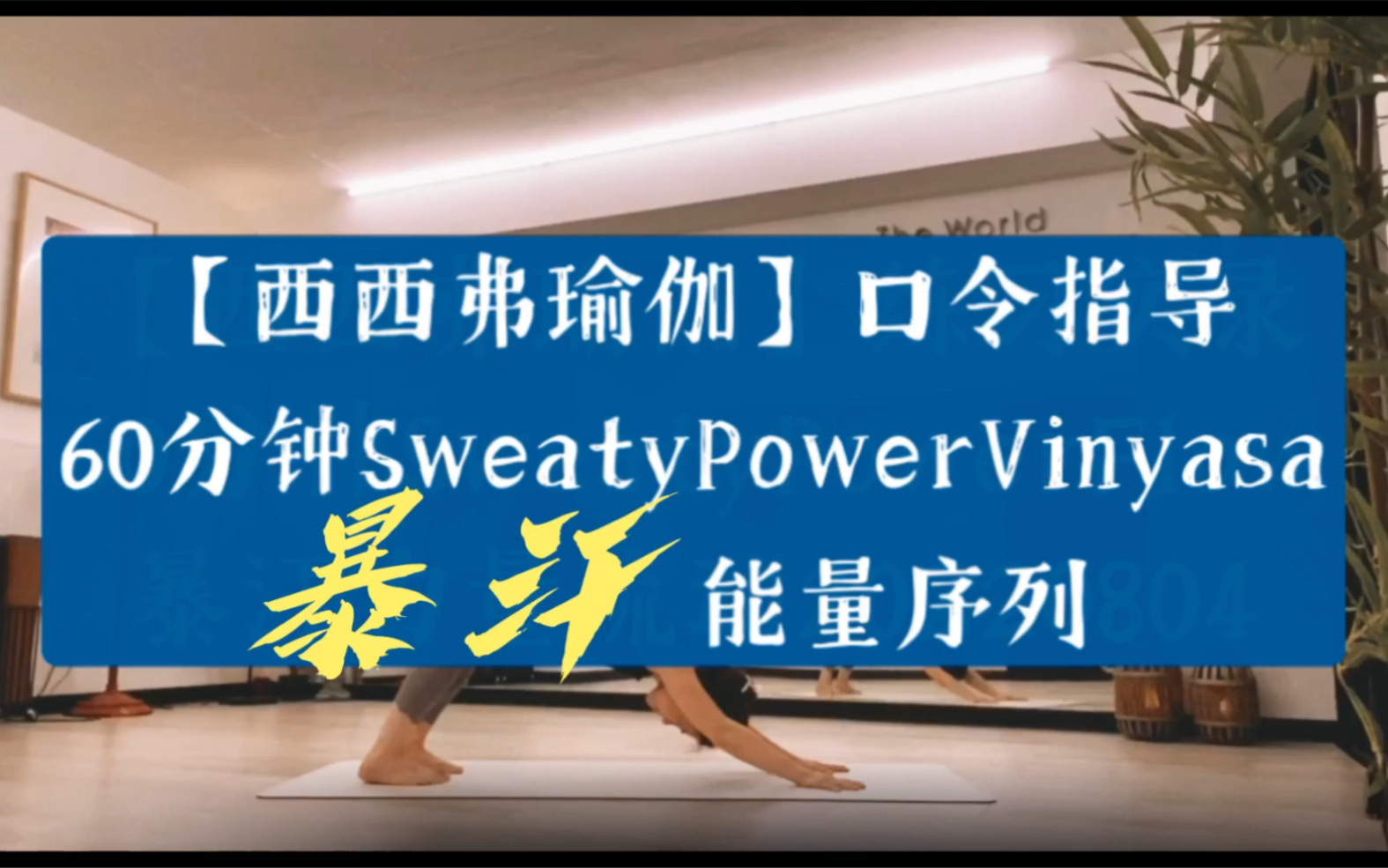 【西西弗瑜伽】口令指导系列:60分钟SweatyPowerVinyasa暴汗能量序列哔哩哔哩bilibili