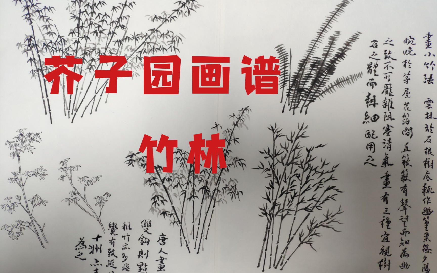 [图]芥子园画谱-竹林