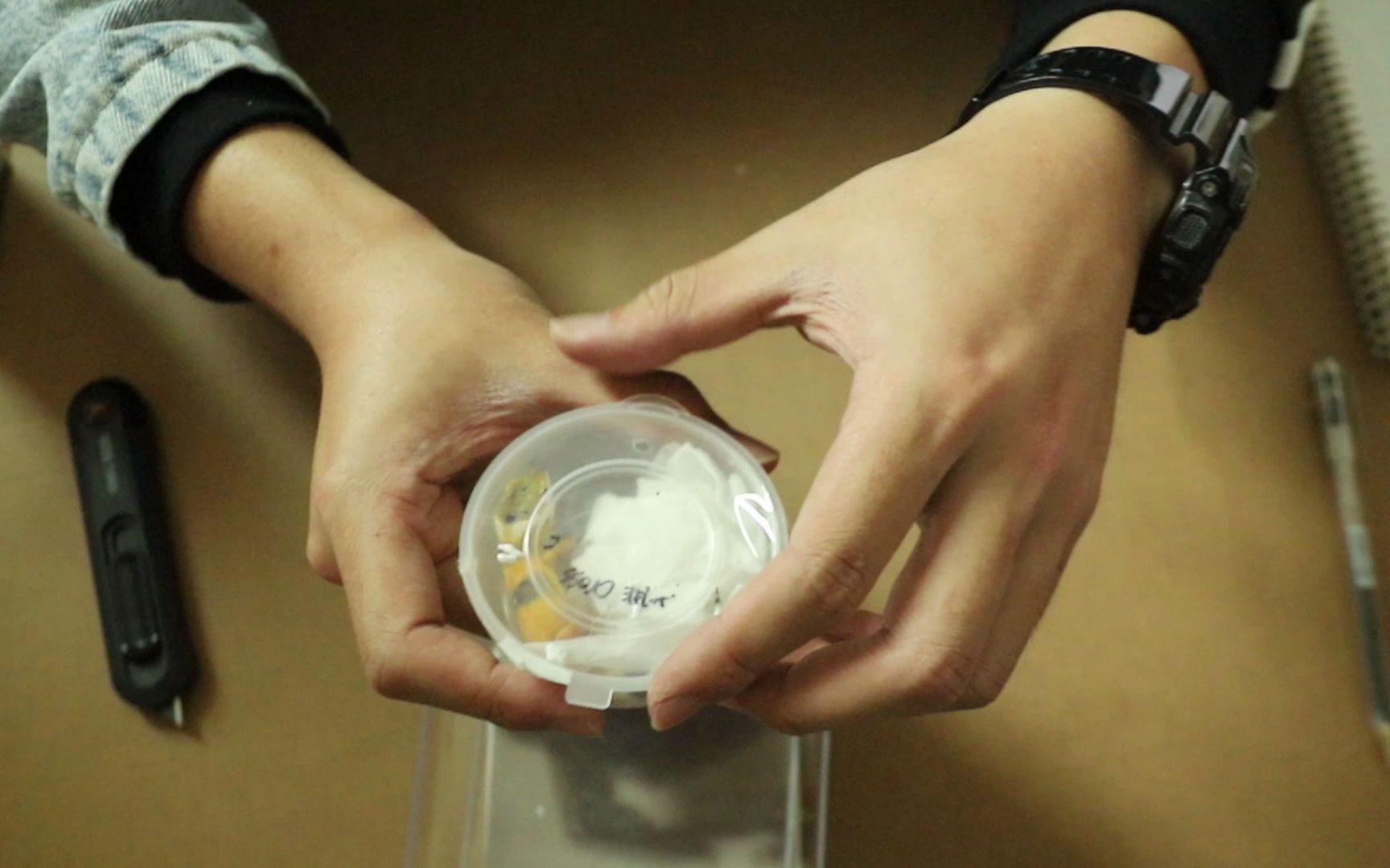 【守宫开箱】一只活泼的橘化柠檬霜