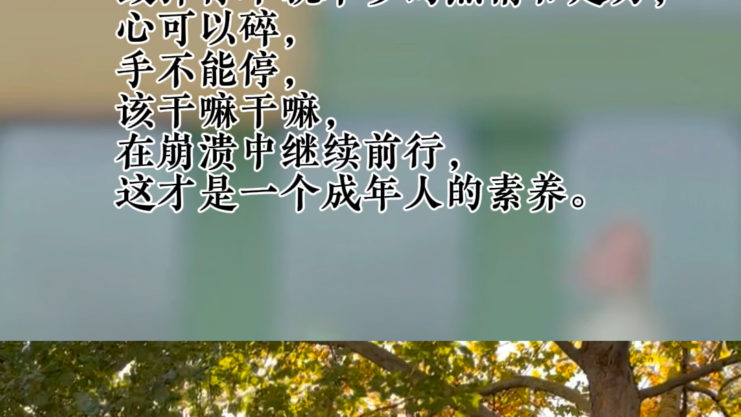莫言说,无人问津也好,技不如人也罢,你都要试着安静下来,去做自己该做