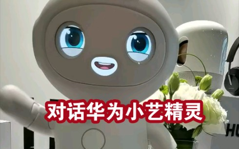 【华为小艺精灵】现场对话体验:可爱呆萌,想带回家!