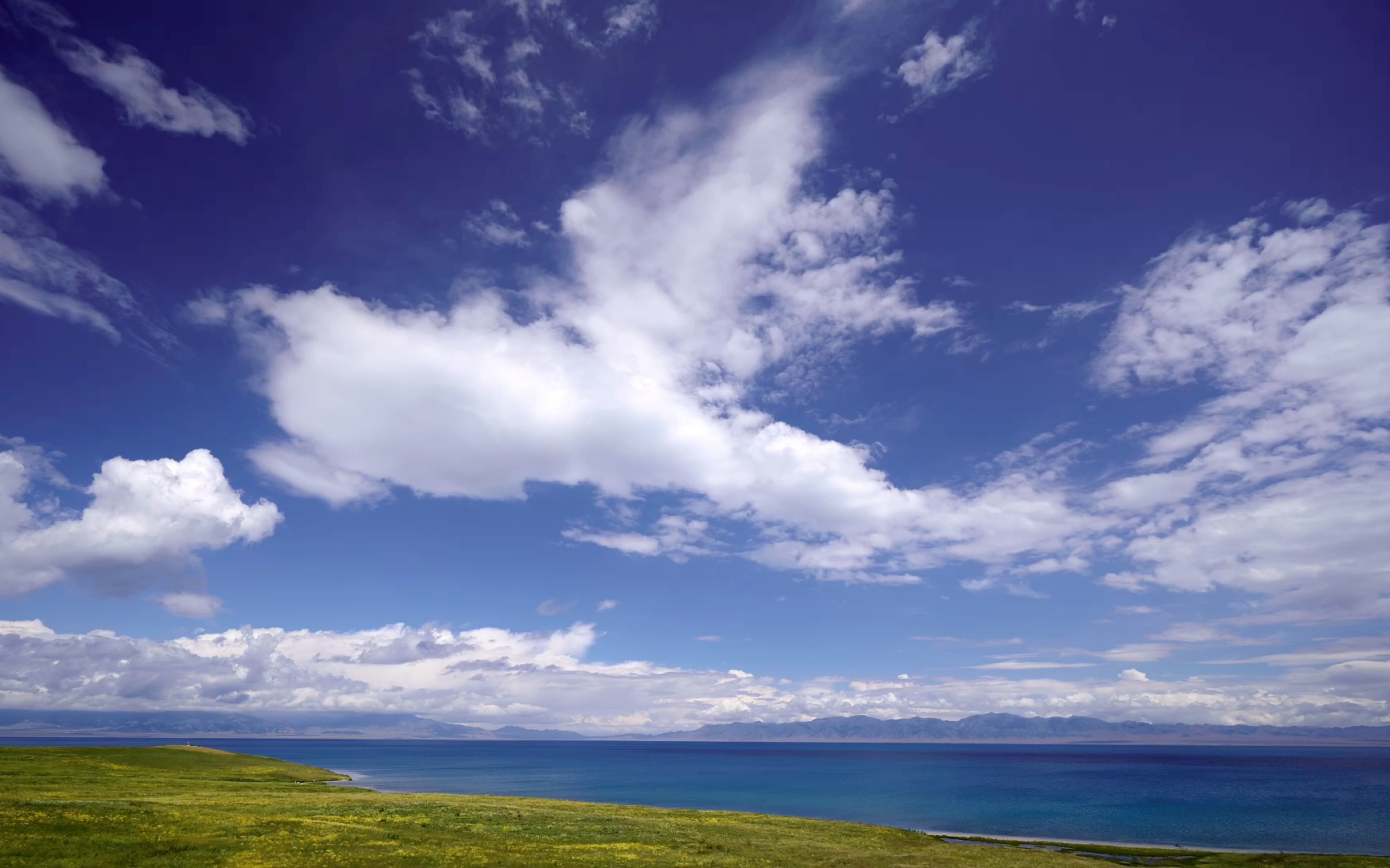 新疆 伊犁 赛里木湖 4k 尼康