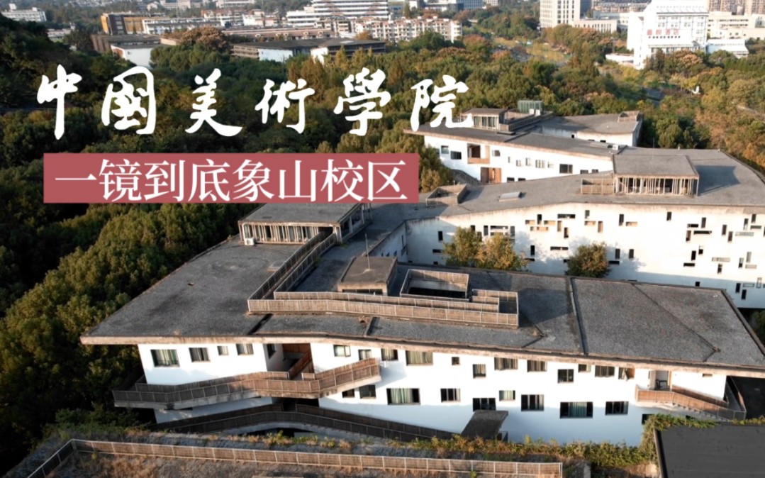 杭州美术学院排名图片