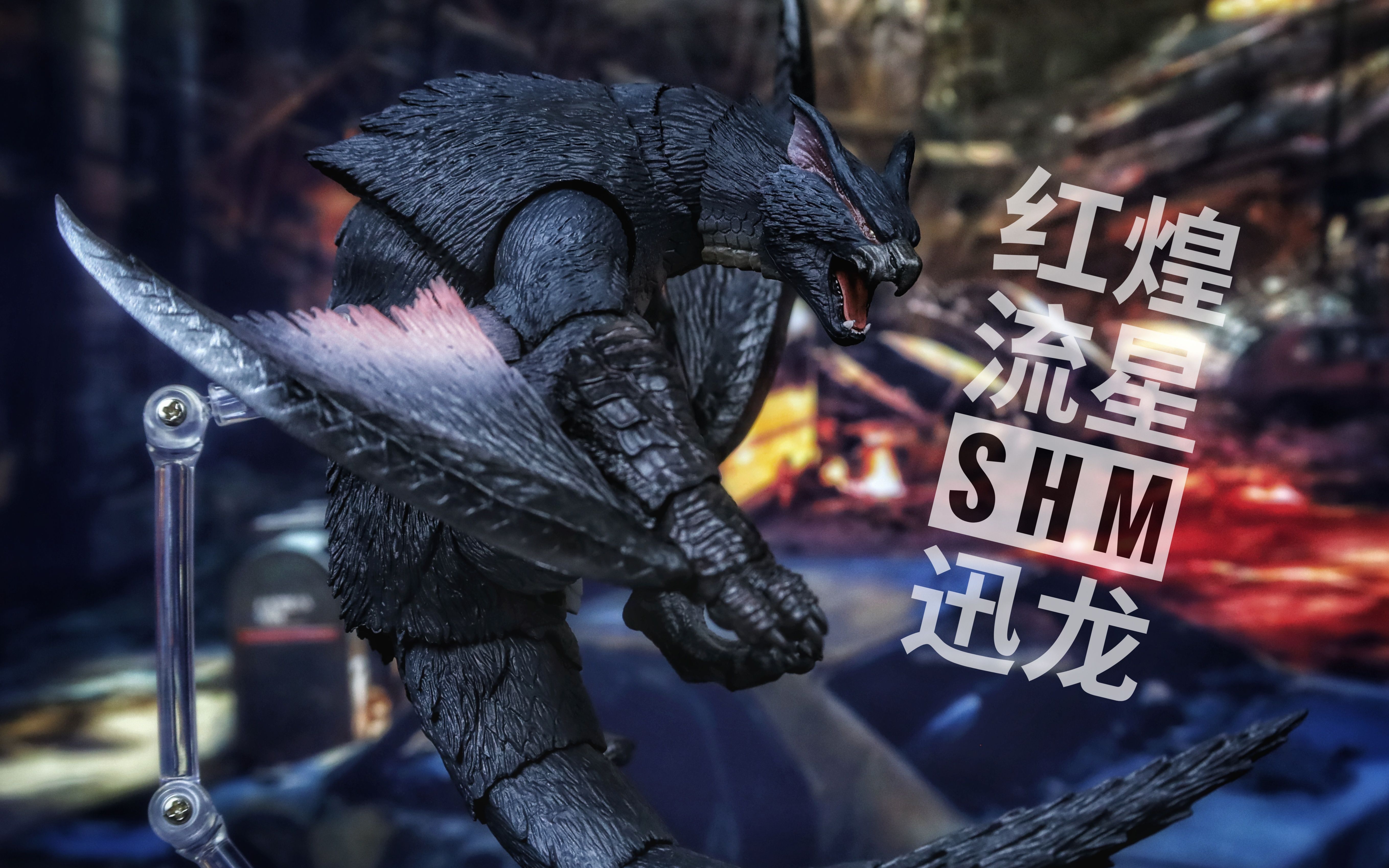 万代shm迅龙,分享展示