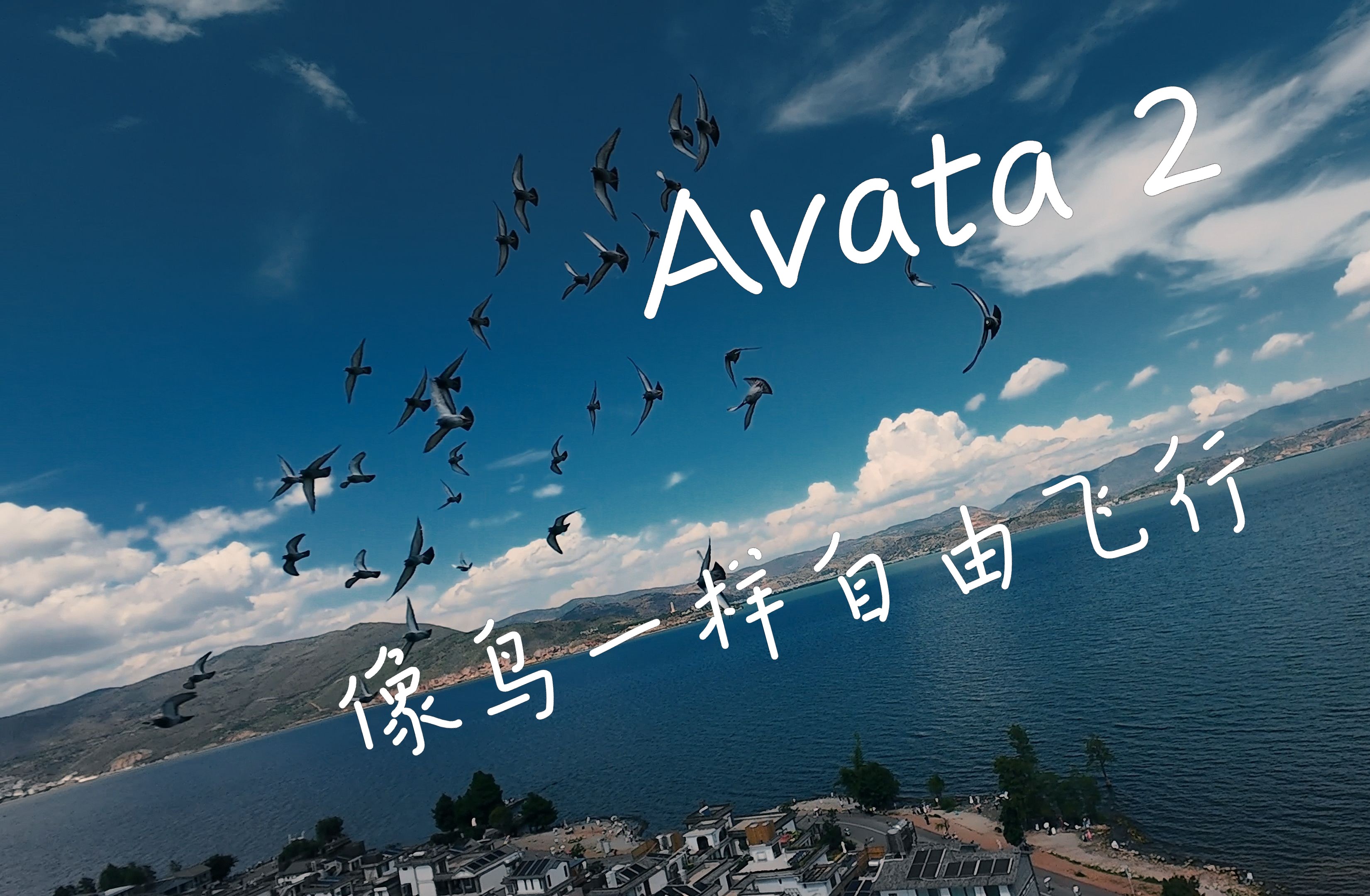 【4k】avata2 像鸟一样自由飞行