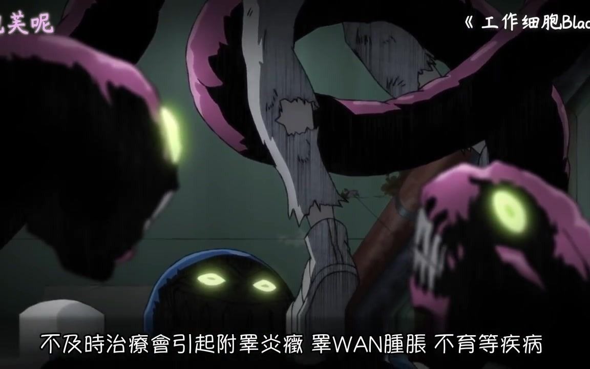 《工作細胞BLACK》性病入侵!