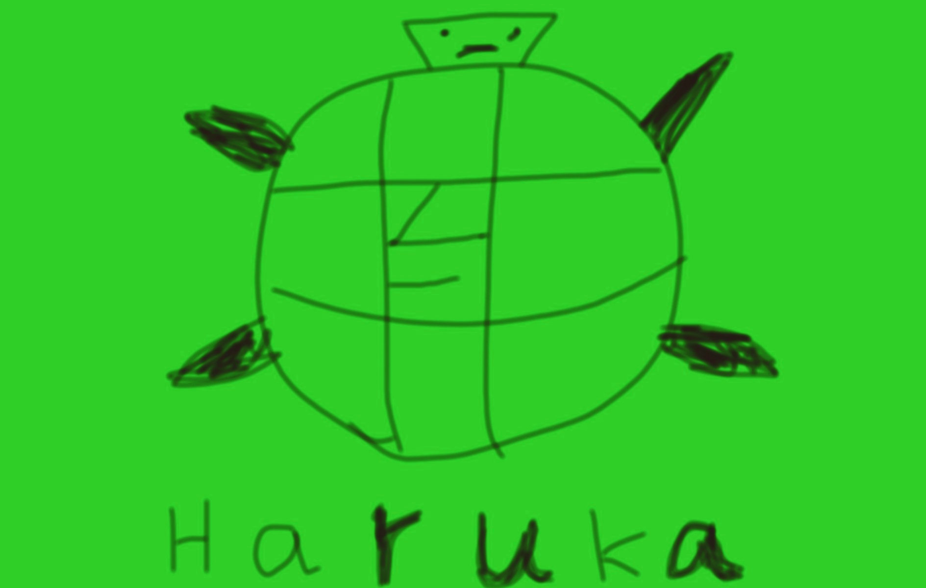 白神遥龟龟图片