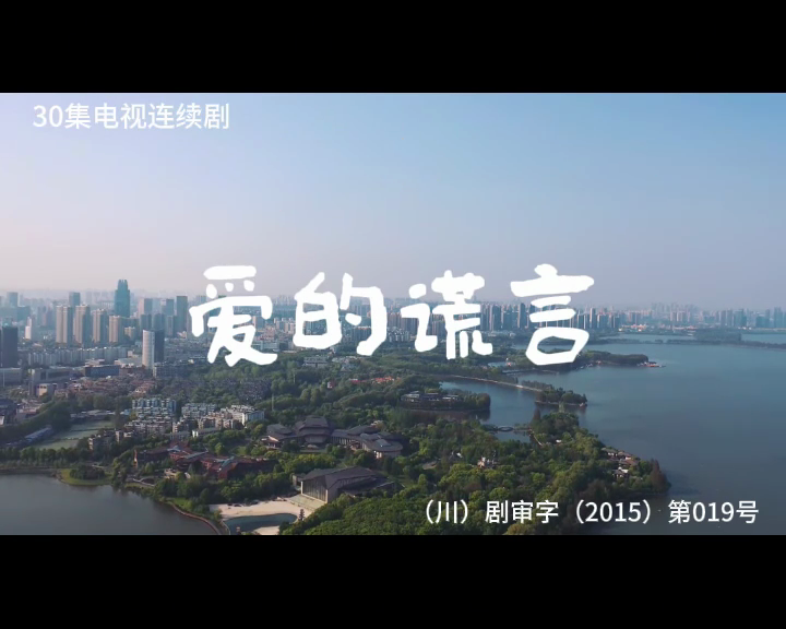 爱的谎言 30集