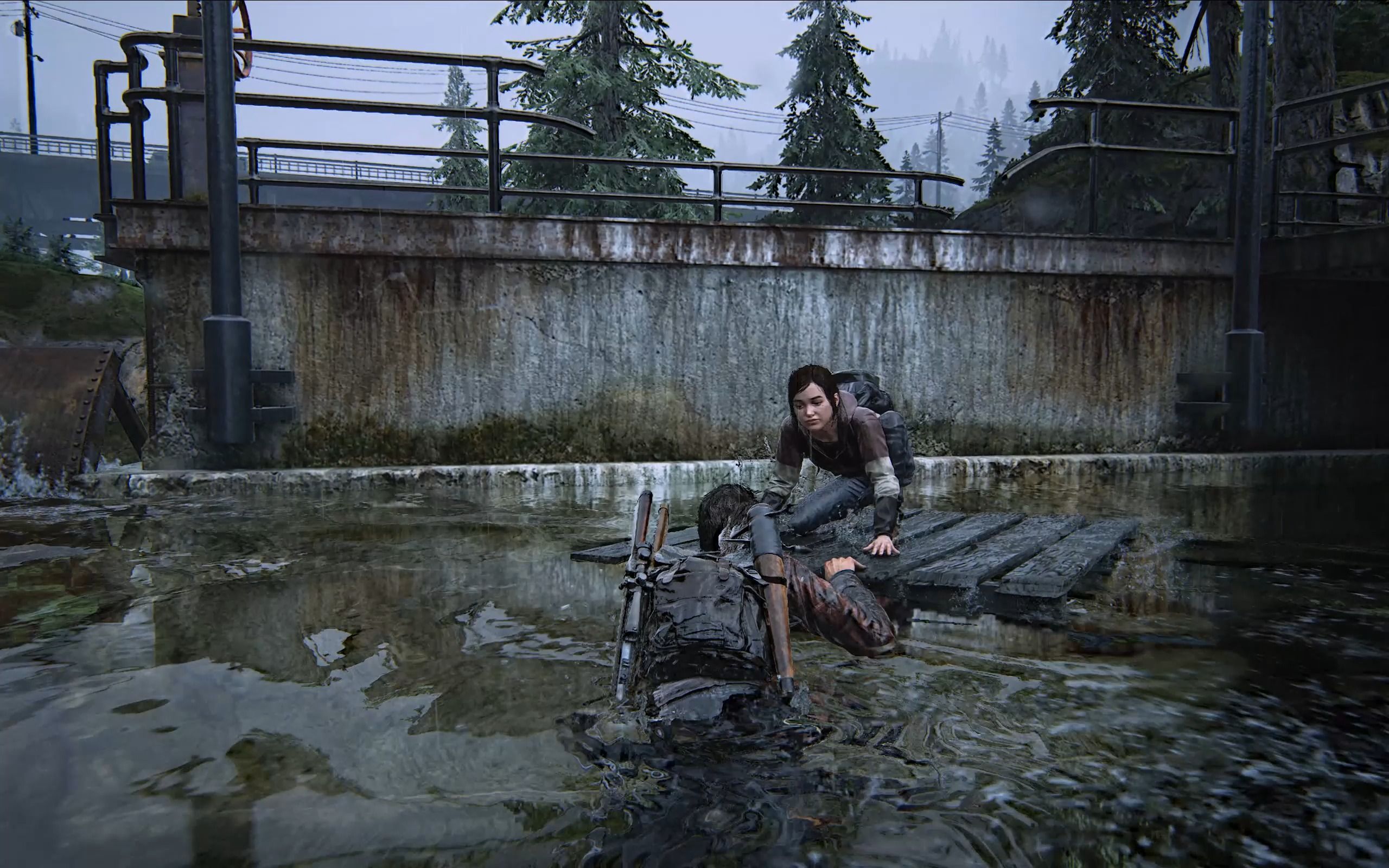 老乔尔艾莉的温情日常