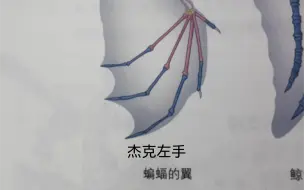 下载视频: 玩第五之后的生物书……