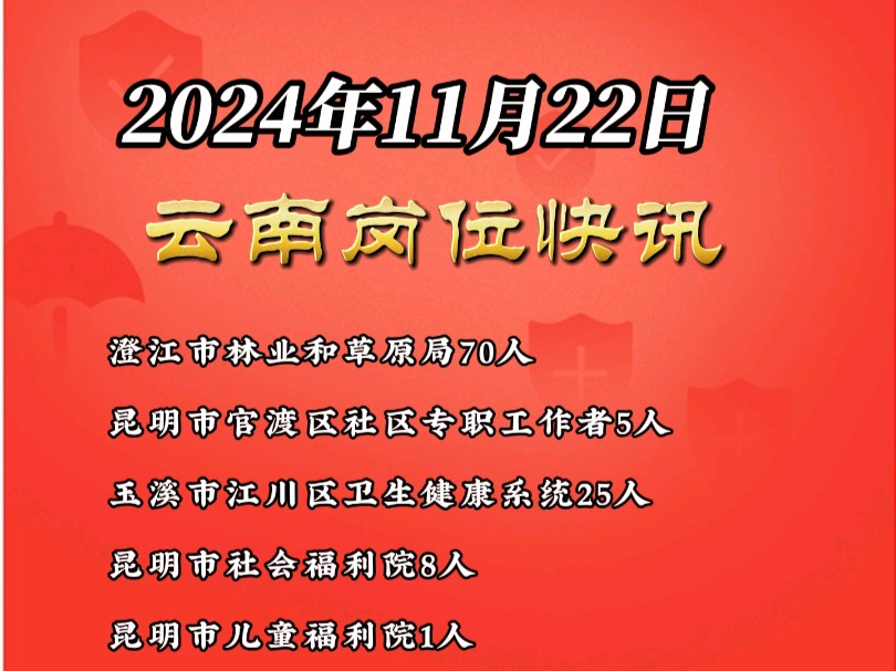 2024年11月22日云南省岗位快讯哔哩哔哩bilibili