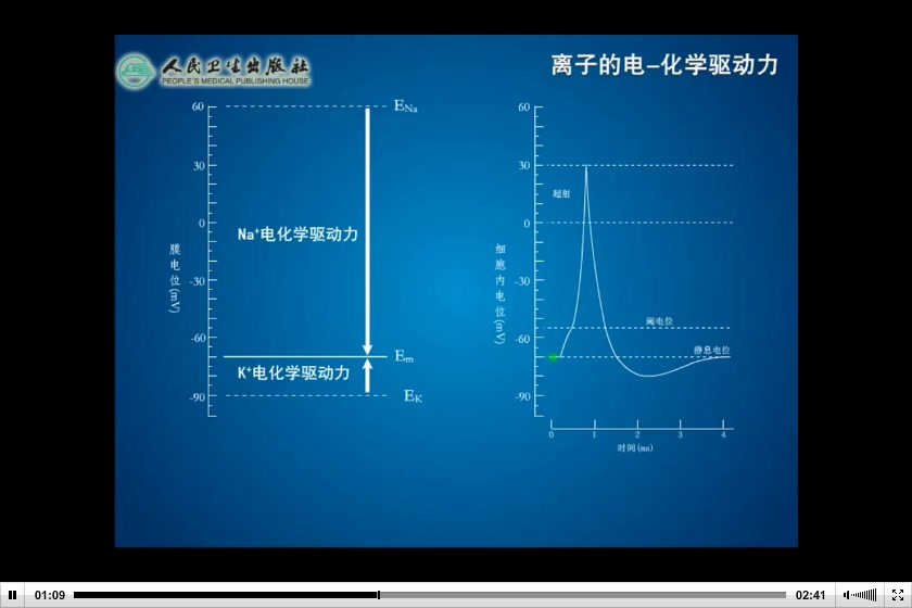 离子电化学驱动力哔哩哔哩bilibili