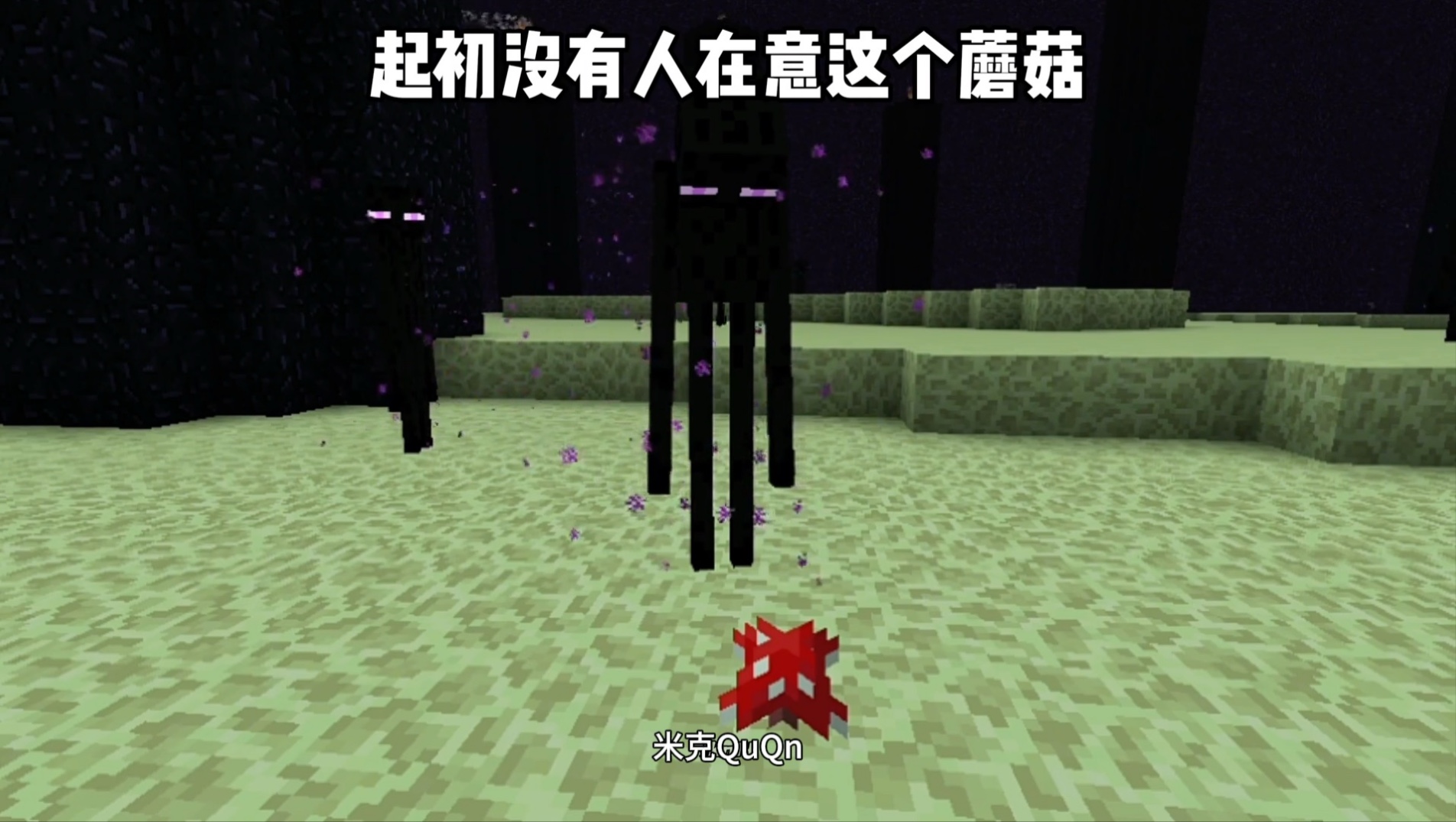 我的世界:"末地种蘑菇