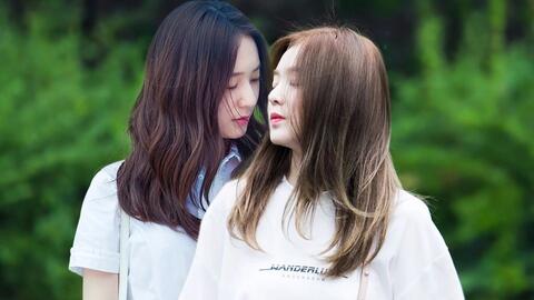 【郑秀晶x裴珠泫】冷漠小狼狗的first love