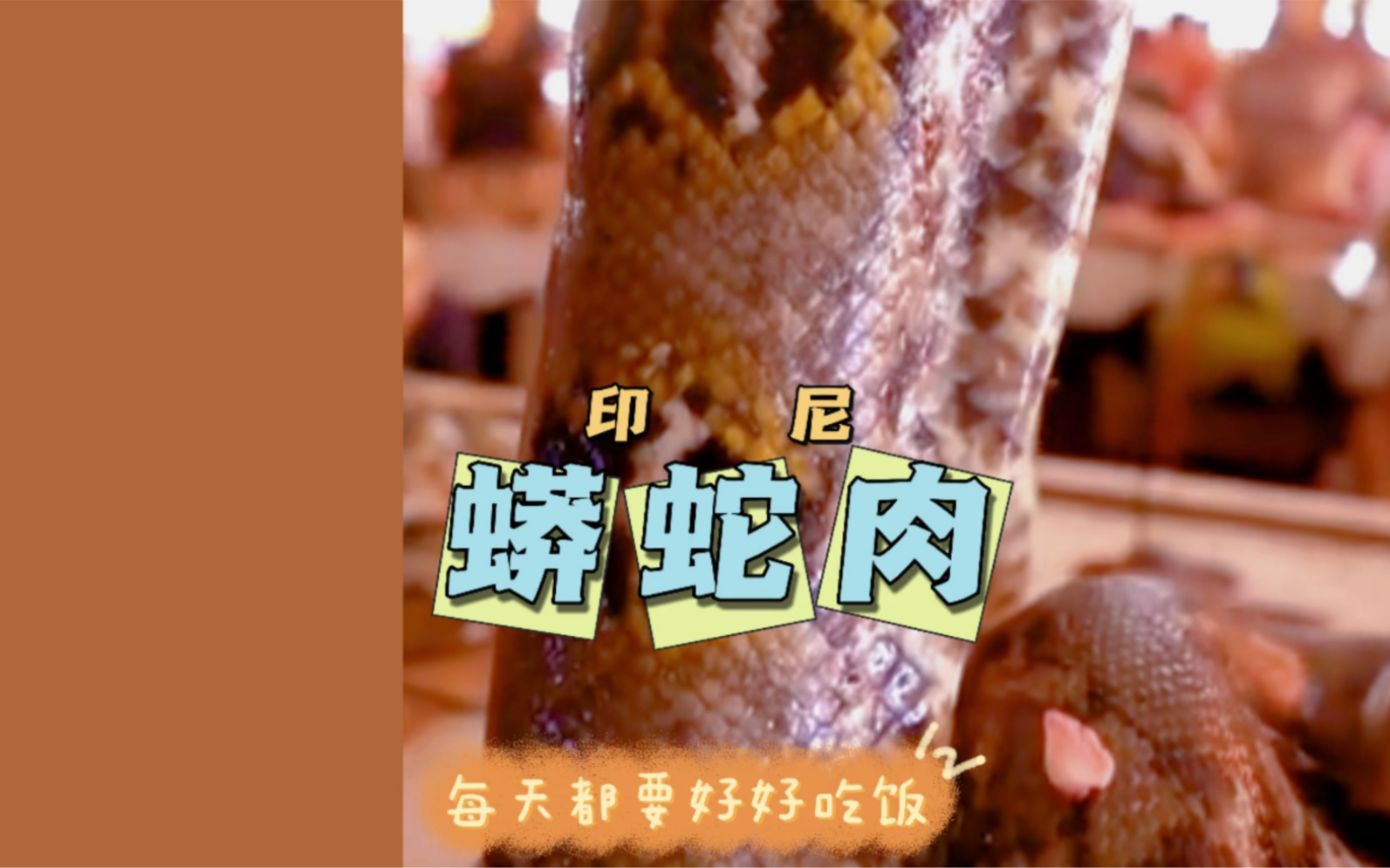 印尼市场,卖蟒蛇肉和卖猪肉没啥区别～内有解剖过程,慎入!