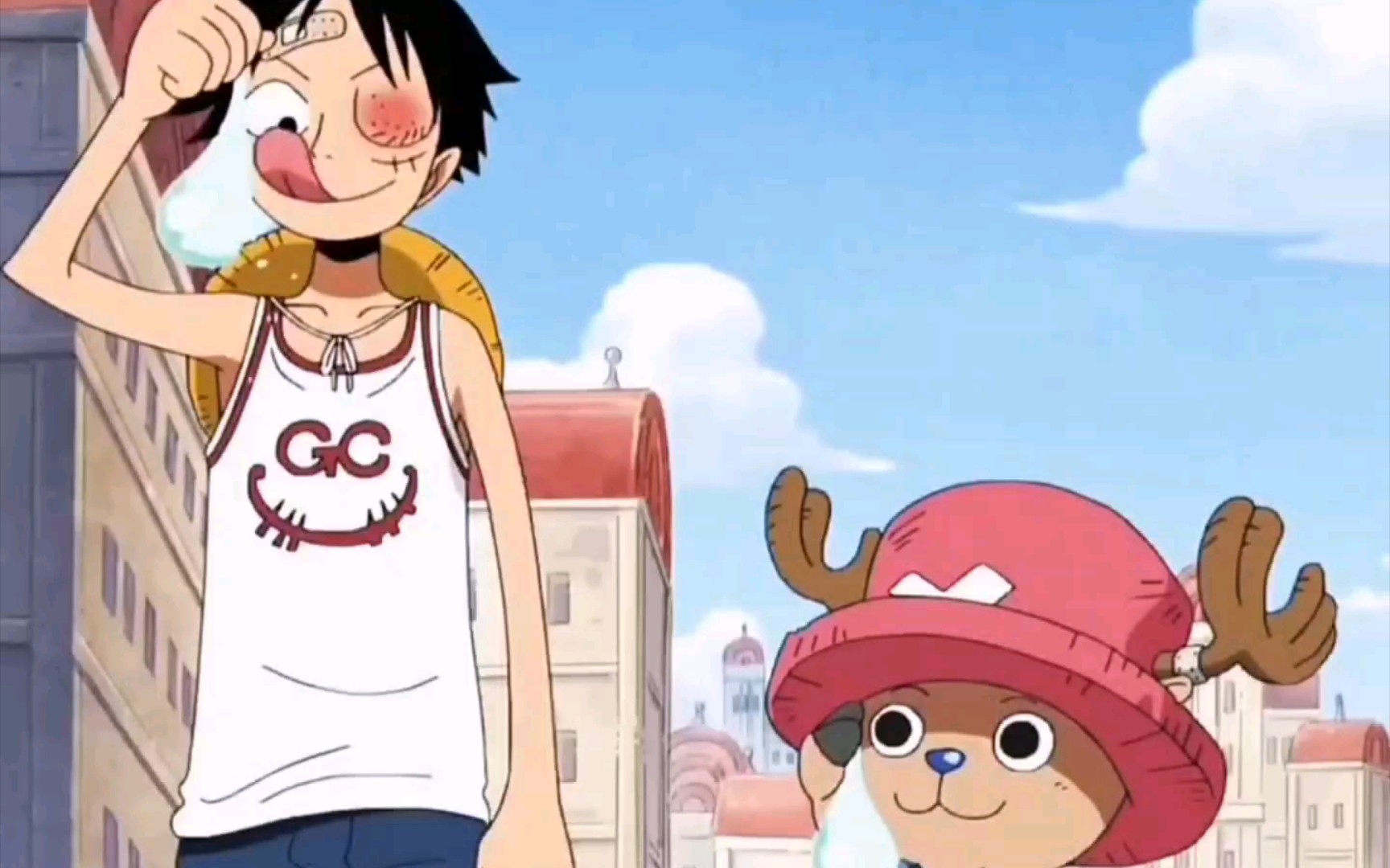 储备粮乔巴跟王路飞的温馨场面