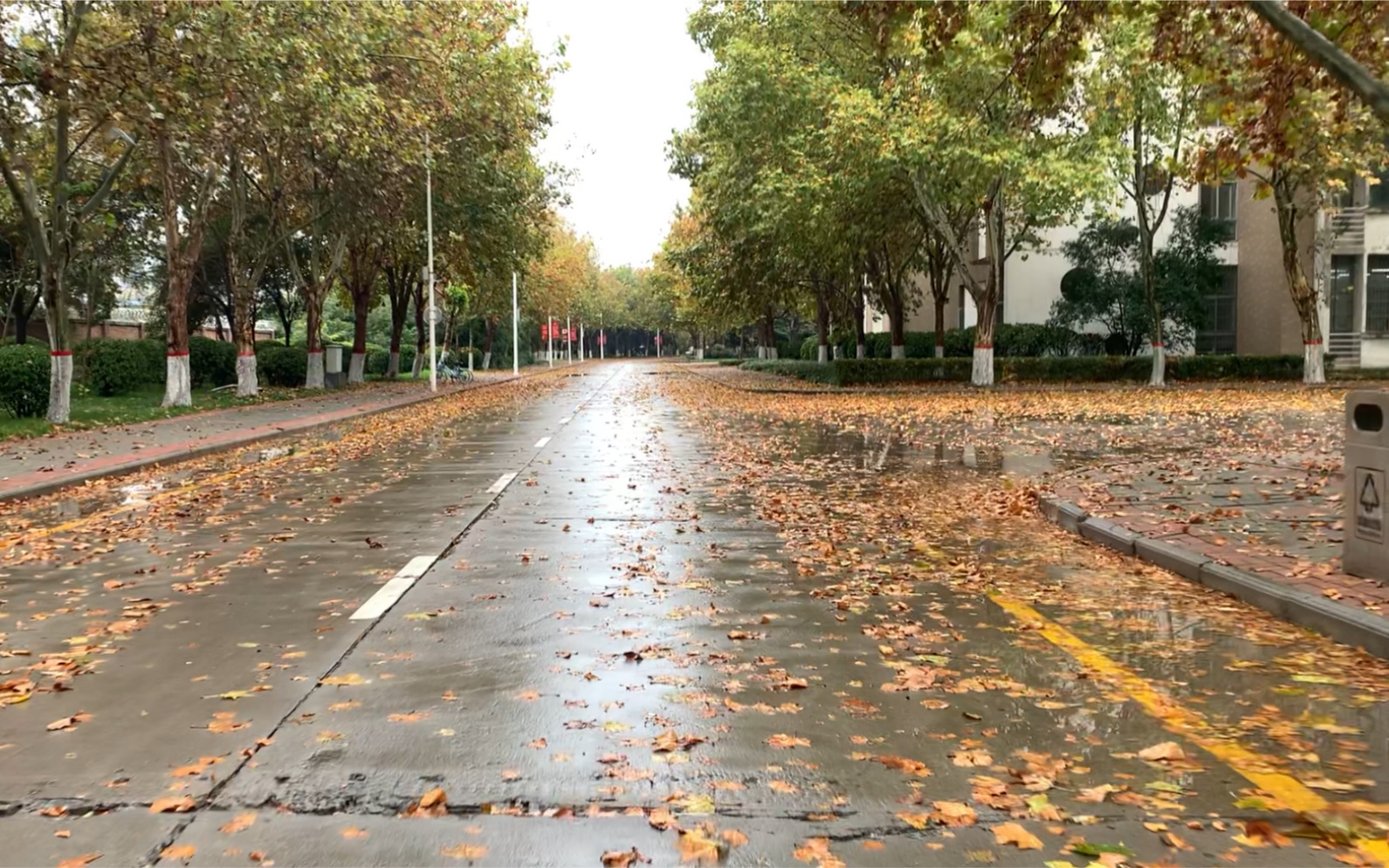 河南师范大学东校区一角_哔哩哔哩_bilibili