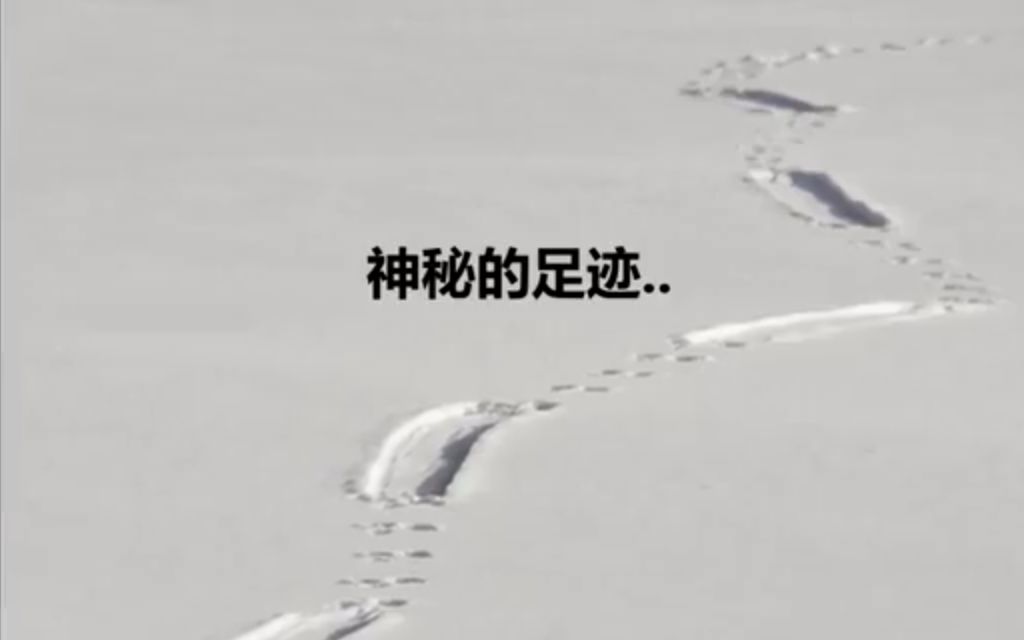 [图]雪地上多次发现不明神秘生物的脚印 结果让人吃惊