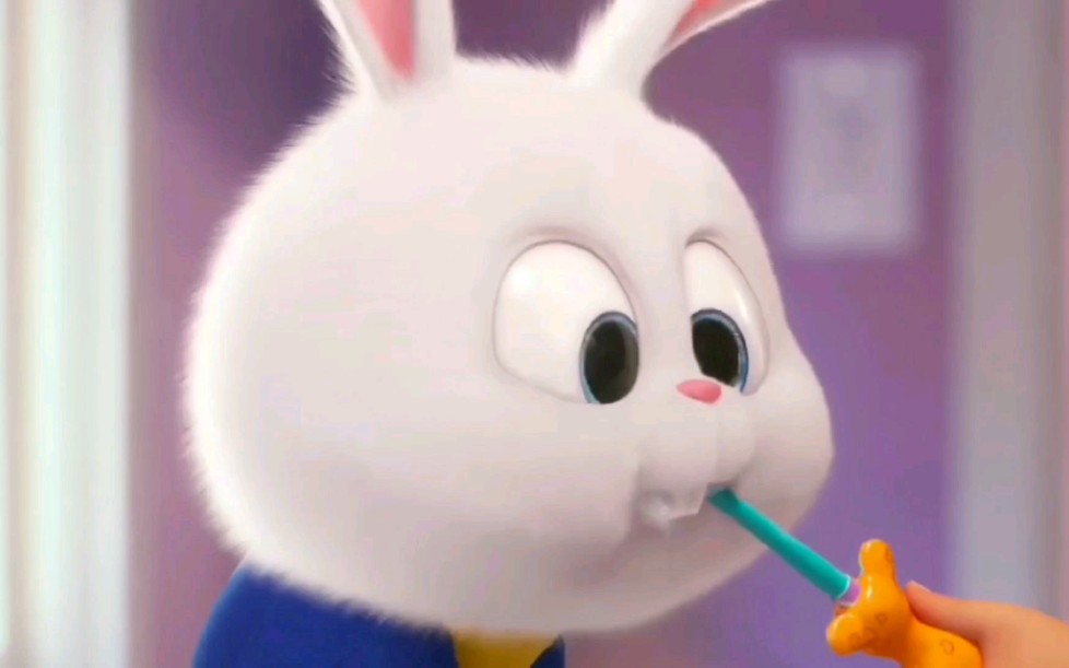 【爱宠大机密】小白真的太可爱了,就喜欢兔老大那奶凶奶凶的样子～给