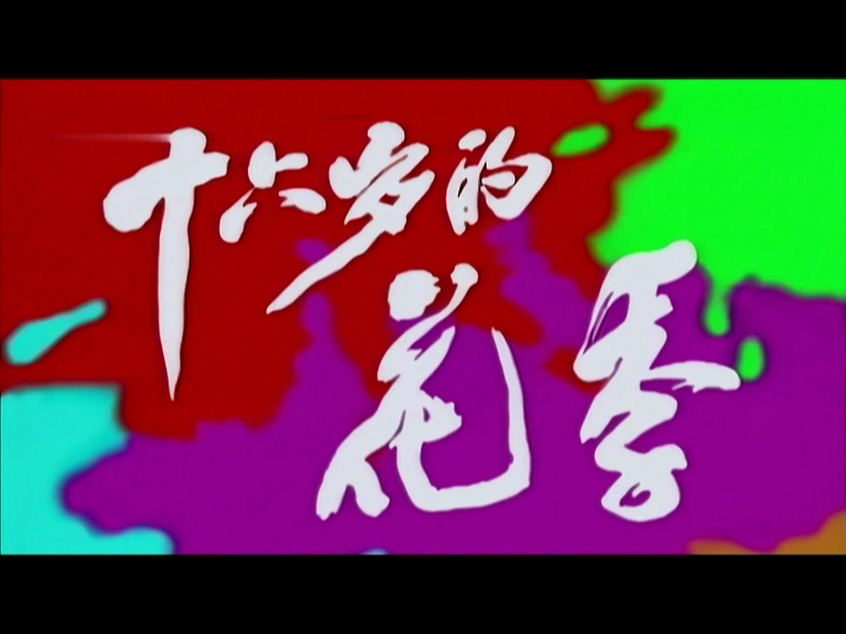 十六岁的花季 1集