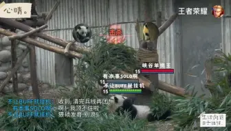 熊猫开黑王者荣耀，哈哈哈哈笑死了