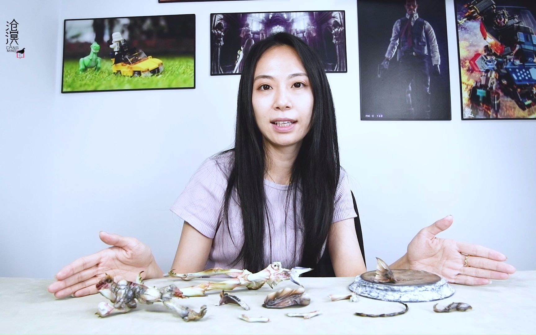 沧溟工作室虫虫对战系列第三款甘饴组装视频