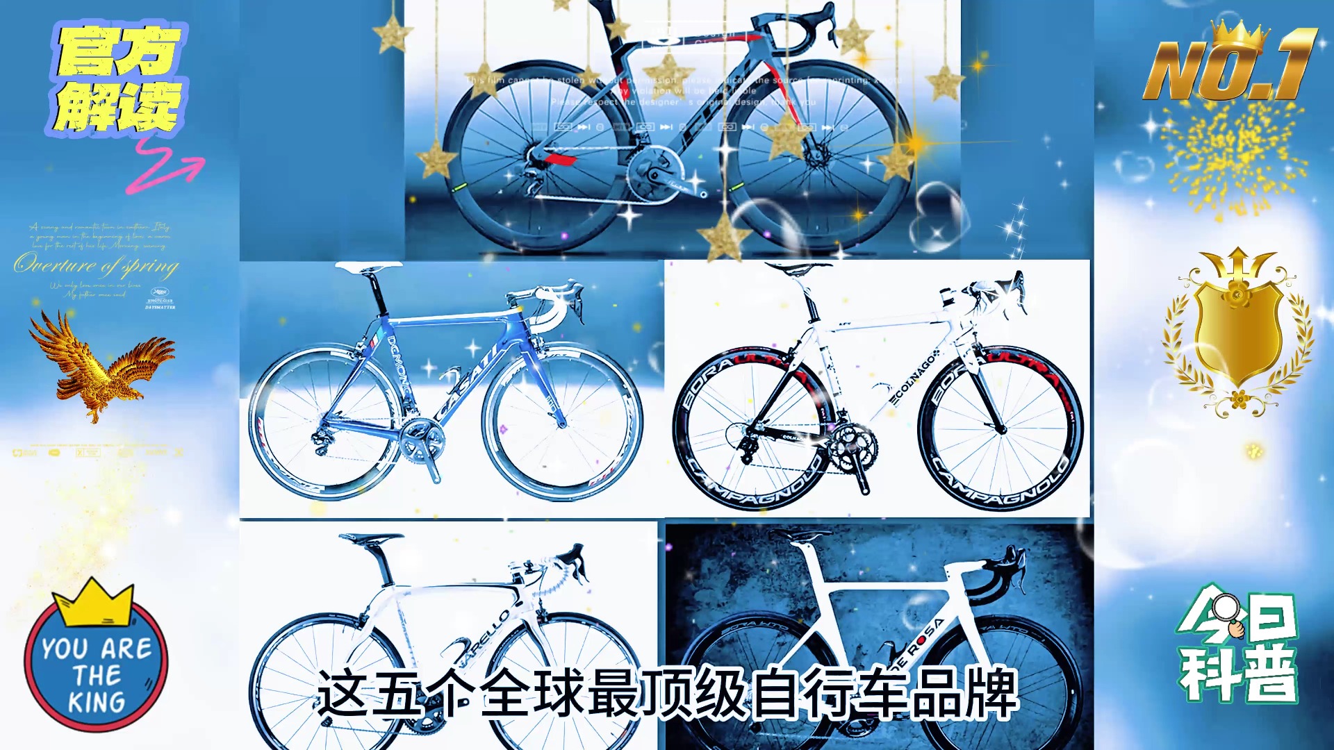 十大口碑最好自行车热销榜第一名辐轮王意大利一王四后公路车品牌