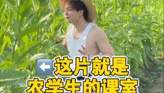 农学生的课室就是一片大自然